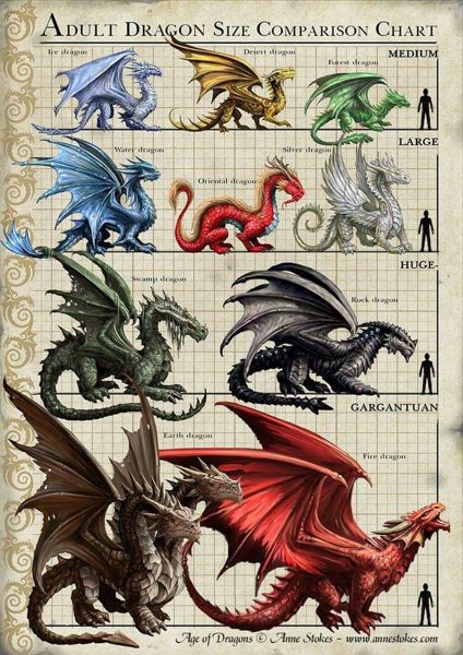 Collection de dragons - Cabinet de curiosité